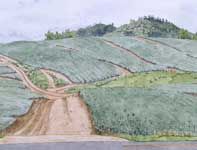 Painting by Eddie Flotte: Giggle Hill