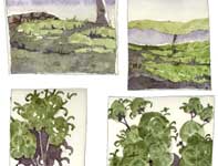 Landscape Green Painting by Eddie Flotte: Landscape Green