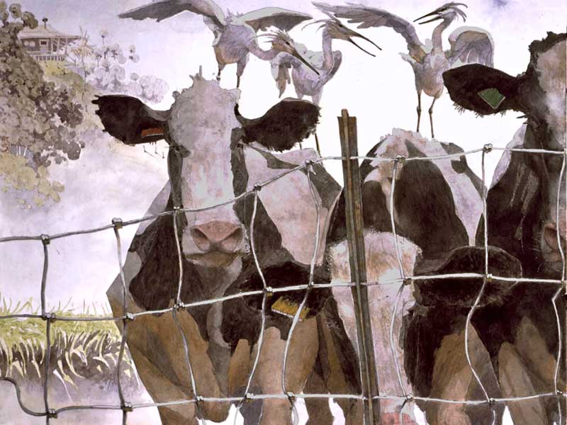 A Most Adventurous Dairy Cow 20 by Eddie Flotte