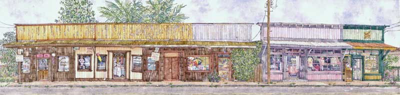 Baldwin Avenue Paia by Eddie Flotte
