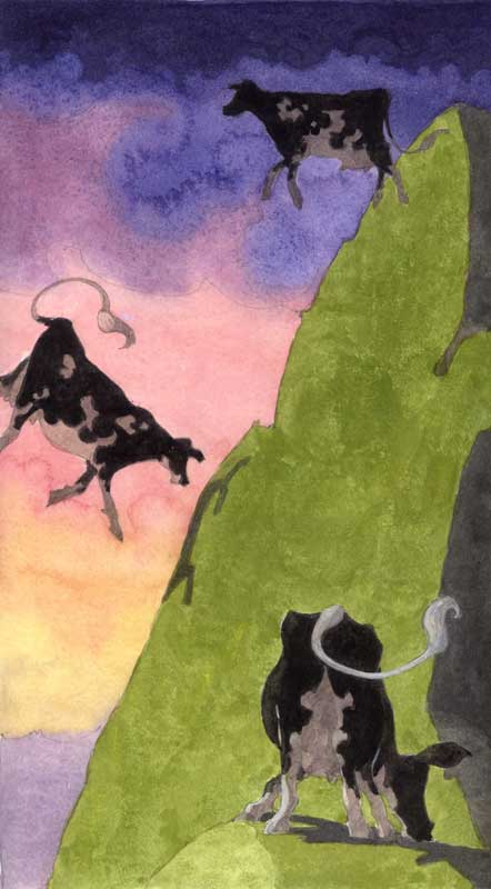 Butterfly by Eddie Flotte