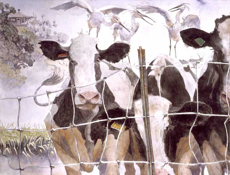 Watercolor Painting by Eddie Flotte: Cows & Egrets