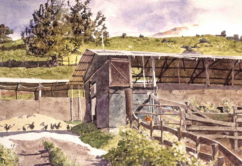 Dairy Farm with Roosters by Eddie Flotte