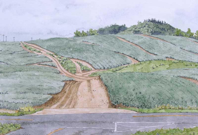 Giggle Hill by Eddie Flotte