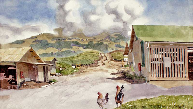 Haliimaile Chickens by Eddie Flotte