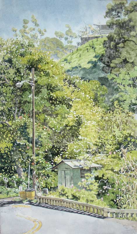 Maliko Bridge by Eddie Flotte