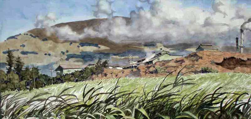 Mill Across the Sugar Cane by Eddie Flotte