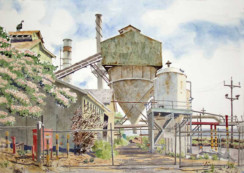 Paia Mill with Shower Tree by Eddie Flotte