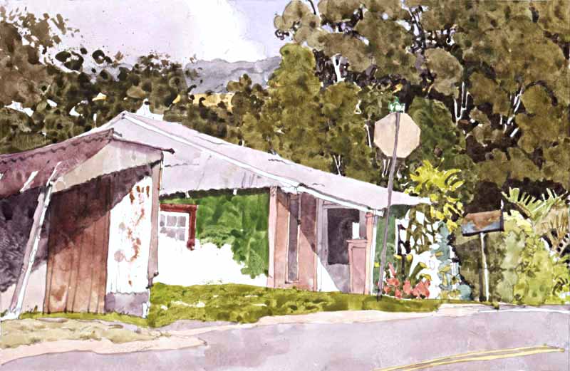 Pink Porch and Green Shingles by Eddie Flotte