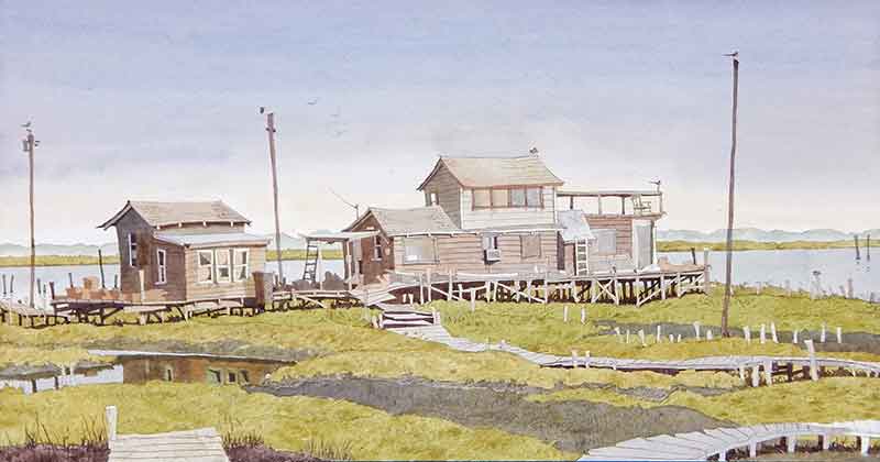 Seagulls at Sunrise by Eddie Flotte