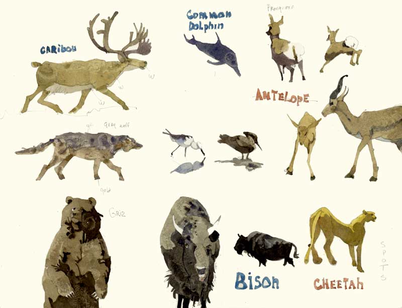 Sketches of Animals by Eddie Flotte