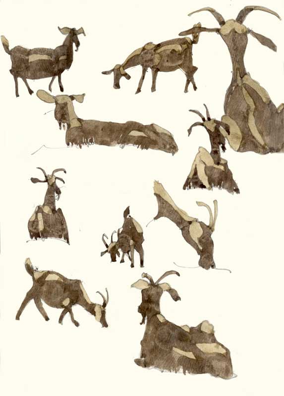 Sketches of Goats by Eddie Flotte