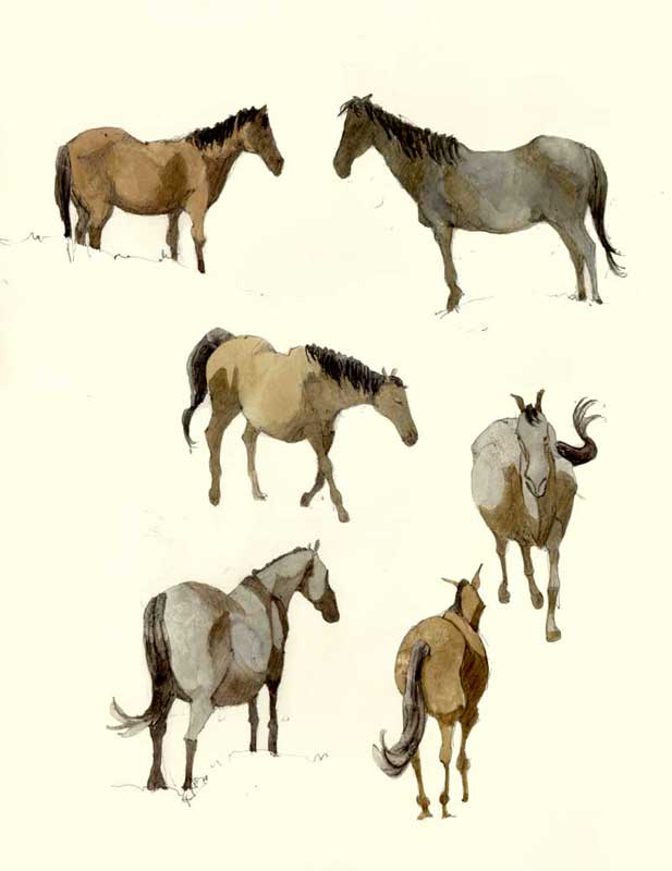 Sketches of Horses by Eddie Flotte
