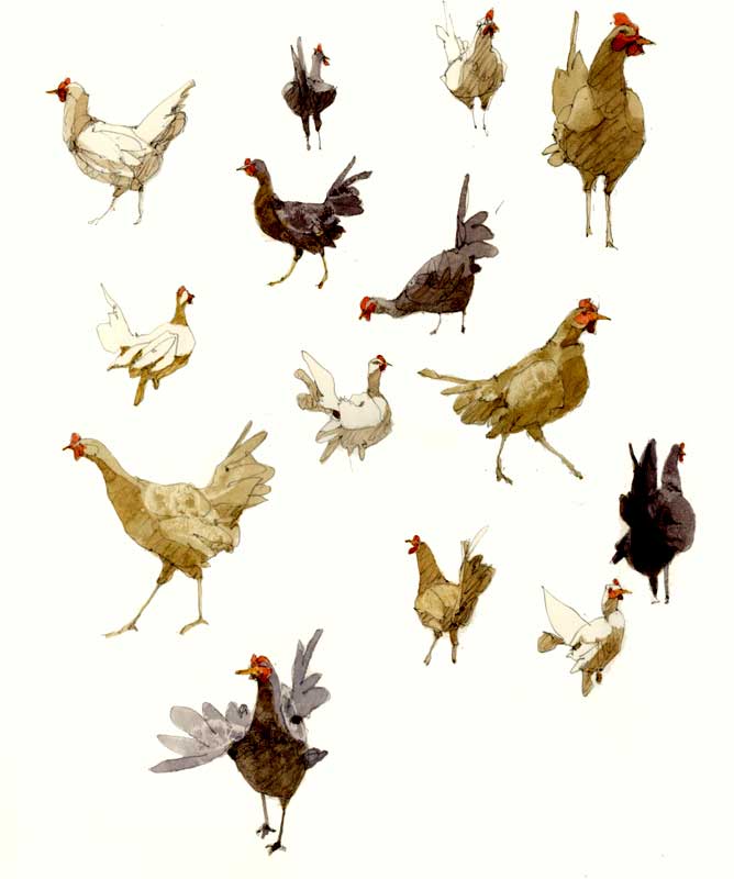 Sketches of Many Chickens by Eddie Flotte