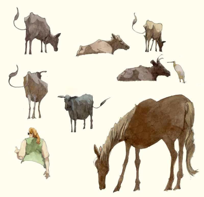 Sketches of Walking Upcountry by Eddie Flotte