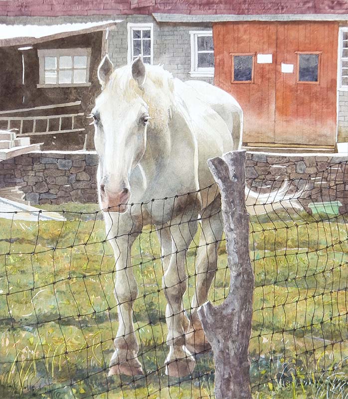 The Spirit of Ring Road by Eddie Flotte